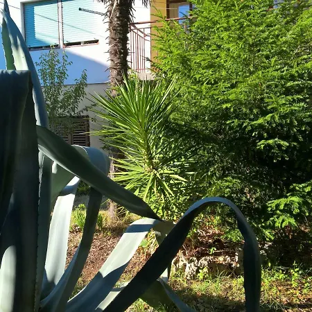Old Agava Guest house